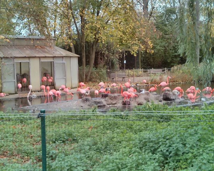 Fody's Zoo Heidelberg